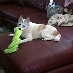 Meet your Posher, Tena